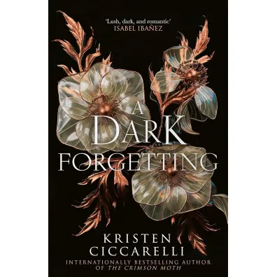 A Dark Forgetting - Kristen Ciccarelli