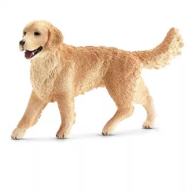 Golden Retriever suczka SLH16395