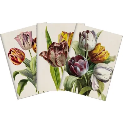 Skona Ting Stone 503 Zestaw 3 notatnik�w A6 - tulipany