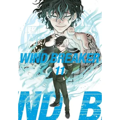 Wind Breaker. Tom 11 - Satoru Nii