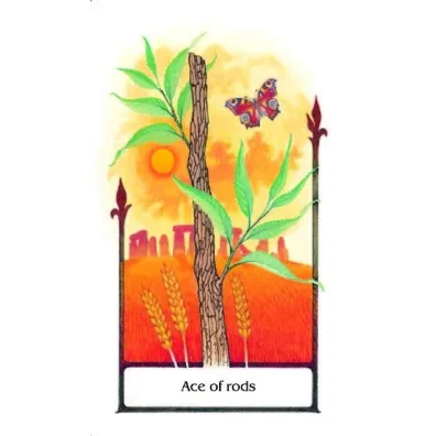 TAROT OF THE OLD PATH SET
