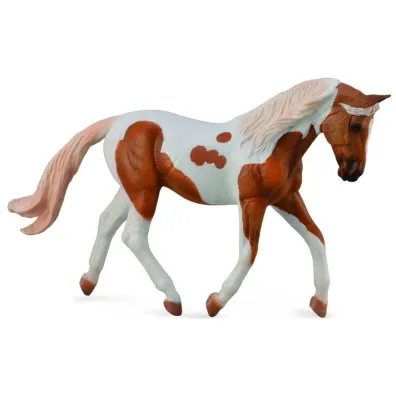 Ko� Pinto Mare Palomino