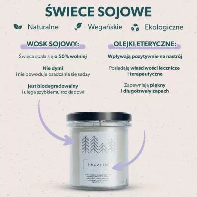 Hagi Cosmetics wieca sojowa Zimowy Las 230 g