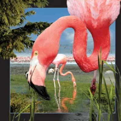 Worth Keeping Poczt�wka 3D Flaming
