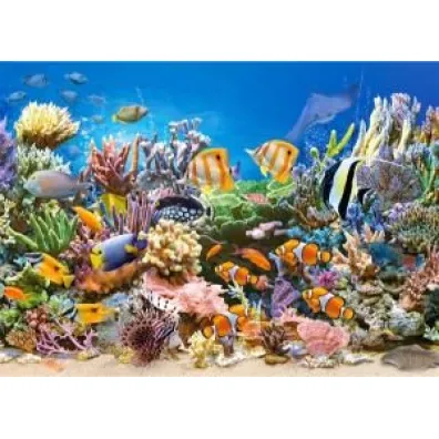 Puzzle 260 el. Colours of the Ocean Castorland