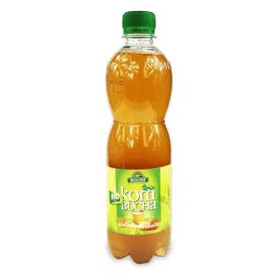 Bio Linie Kombucha herbata zielona 500 ml Bio