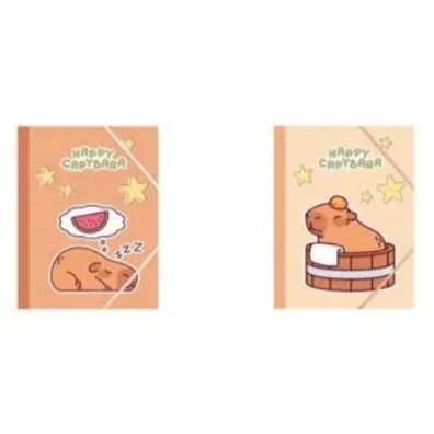 Koh-I-Noor CAPYBARA Teczka A4 gumk� MIX