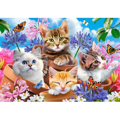 Puzzle 500 el. Kittens with Flowers Castorland