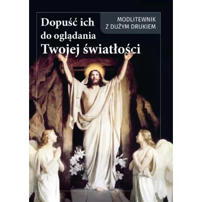 Dopu�� ich do ogl�dania Twojej �wiat�o�ci - Andrzej  Ochman