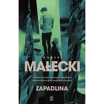 Zapadlina. Komisarz Maria Herman. Tom 3 - Robert Ma�ecki