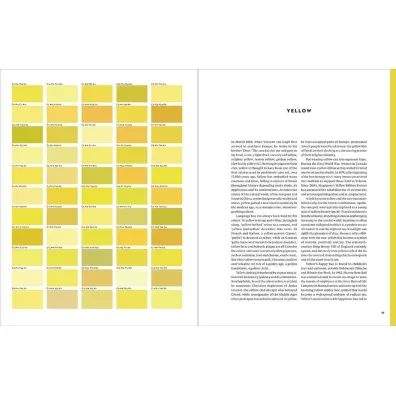 The V&A Book of Colour in Design wer. angielska