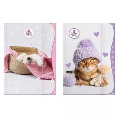 Beniamin Teczka z gumk A4 The Sweet Pets - Kids