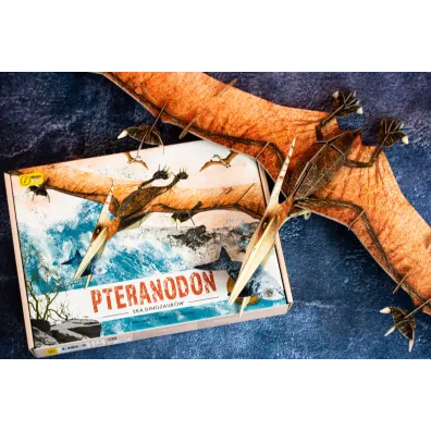 Pteranodon. Ksi��ka i puzzle 3D Wilga Play