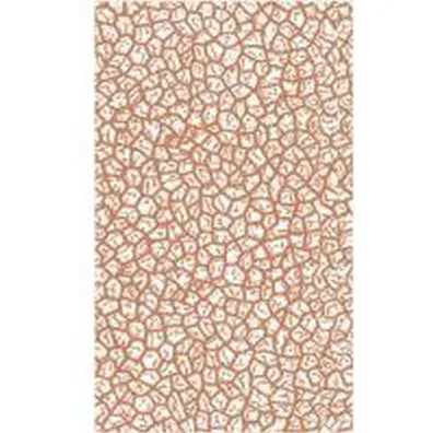 A.E. Waite Tarot Pocket Premium Edition