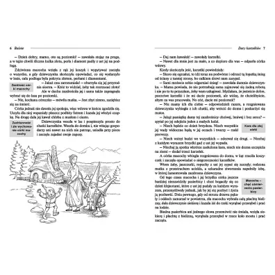 Banie braci Grimm z opracowaniem oprawa mikka
