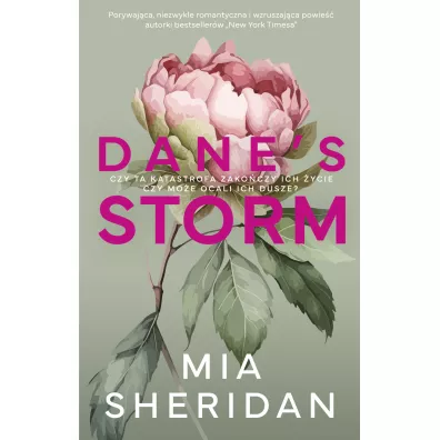Dane's Storm - Mia Sheridan