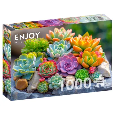 Puzzle 1000 Sukulenty Enjoy