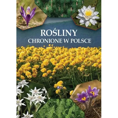 Ro�liny chronione w Polsce