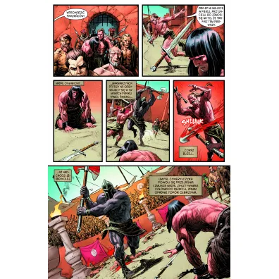 Conan – Miecz barbarzy�cy Conan hazardzista. Conan. Miecz barbarzy�cy. Tom 2