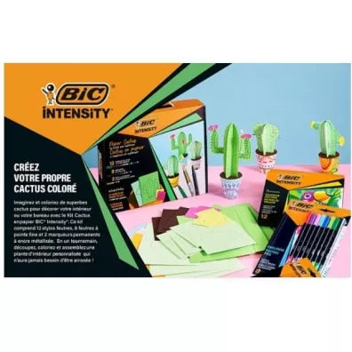 Bic Zestaw Intensity Paper Cactus