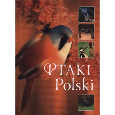 Ptaki Polski - Karolina Matoga