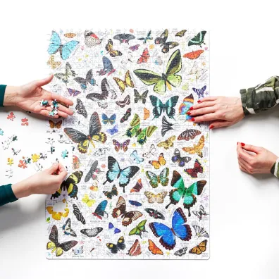 Puzzle Puzzlove CzuCzu 1000 el. Motyle Bright Junior Media