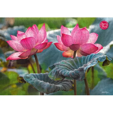 Puzzle 500 el. Pink Lotus Flowers CherryPazzi