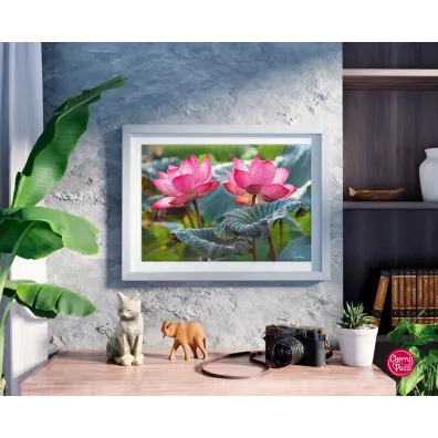 Puzzle 500 el. Pink Lotus Flowers CherryPazzi