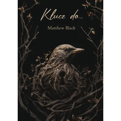 Klucz do&hellip; - Matthew Black
