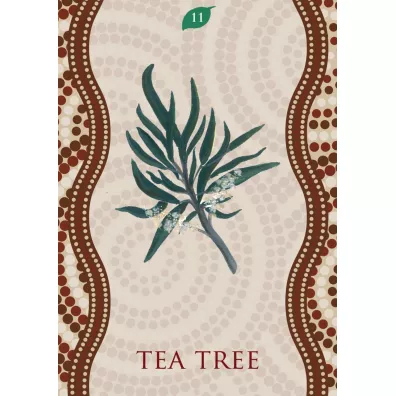 Aboriginal Healing Oracle, karty do wrenia