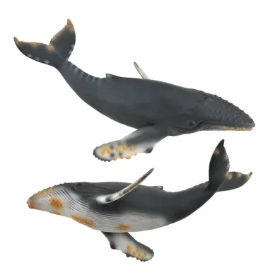 Wieloryb Humbak
