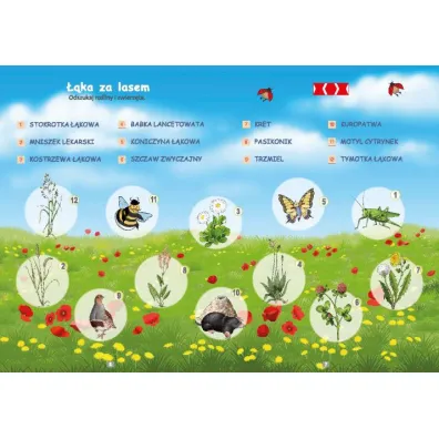 PUS To ju� potrafi� 4 �wiczenia utrwalaj�co sprawdzaj�ce dla dzieci w klasach II-III