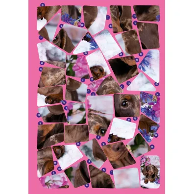 Naklejkowe puzzle. Zabawne pieski