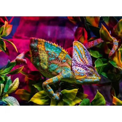 Puzzle 500 el. Kameleon Ravensburger