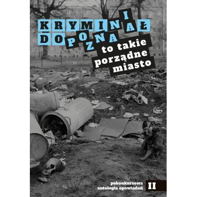 Krymina� do Poznania. To takie porz�dne miasto - Aleksandra Paradowska, Piotr Korduba