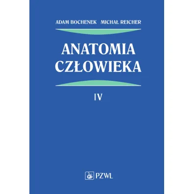 Anatomia cz�owieka. Tom 4 - Adam Bochenek, Micha� Reicher