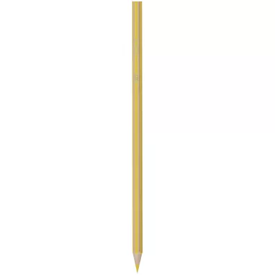 Bic Kredki Eco Evolution Stripes 18 szt.