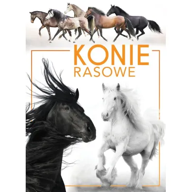Konie rasowe - Patrycja Zarawska