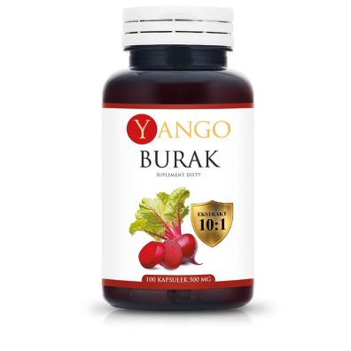 Yango Burak - ekstrakt 10:1 Suplement diety 100 kaps.