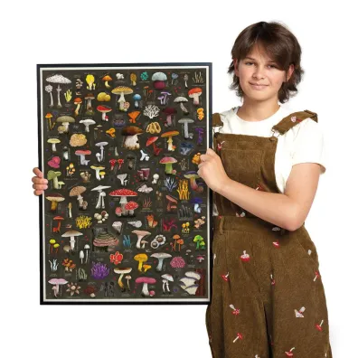Puzzlove CzuCzu 500 el. Grzyby puzzle rodzinne Bright Junior Media
