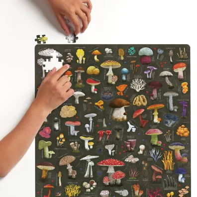 Puzzlove CzuCzu 500 el. Grzyby puzzle rodzinne Bright Junior Media
