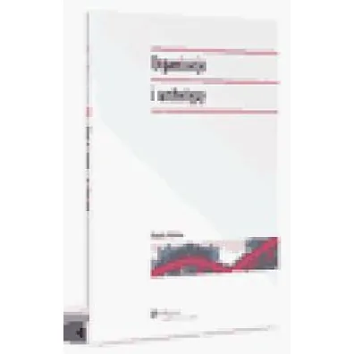 Organizacja i archetypy