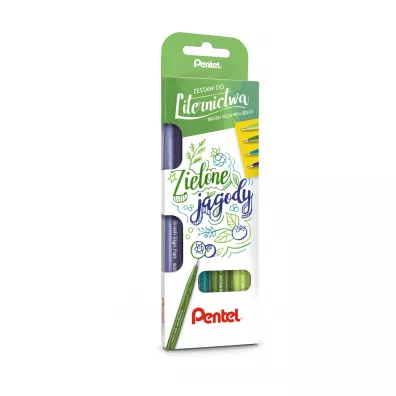 Pentel Zestaw pisak�w do kaligrafii 4 szt.