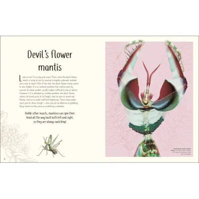 Anthology of Remarkable Bugs