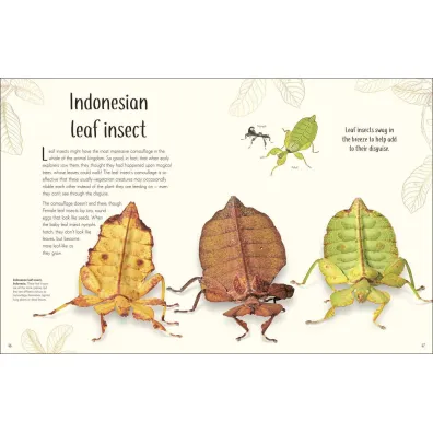 Anthology of Remarkable Bugs
