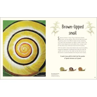 Anthology of Remarkable Bugs