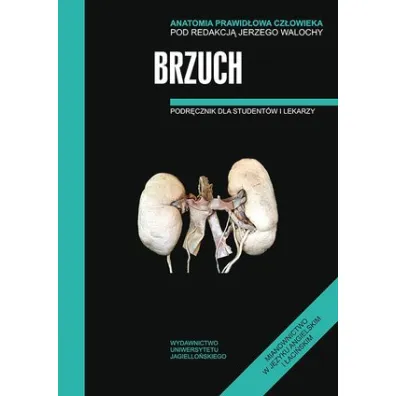 Brzuch. Podr�cznik dla student�w i lekarzy. Anatomia prawid�owa cz�owieka - Jerzy Walocha