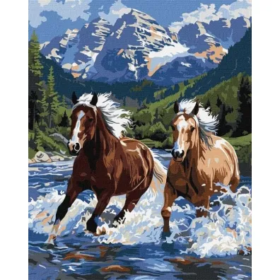 Ideyka Malowanie po numerach - Si�a w ruchu 40x50cm