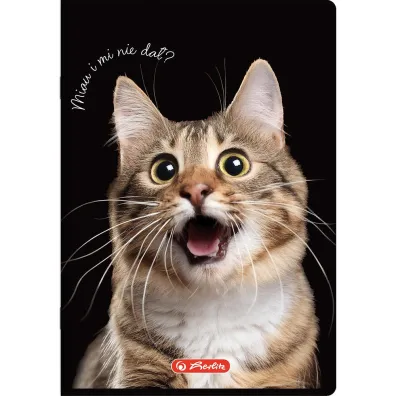 Herlitz Zeszyt A5 Crazy Animal z marginesem linia 60 kartek