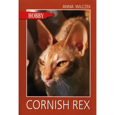 Cornish rex - Anna Wilczek